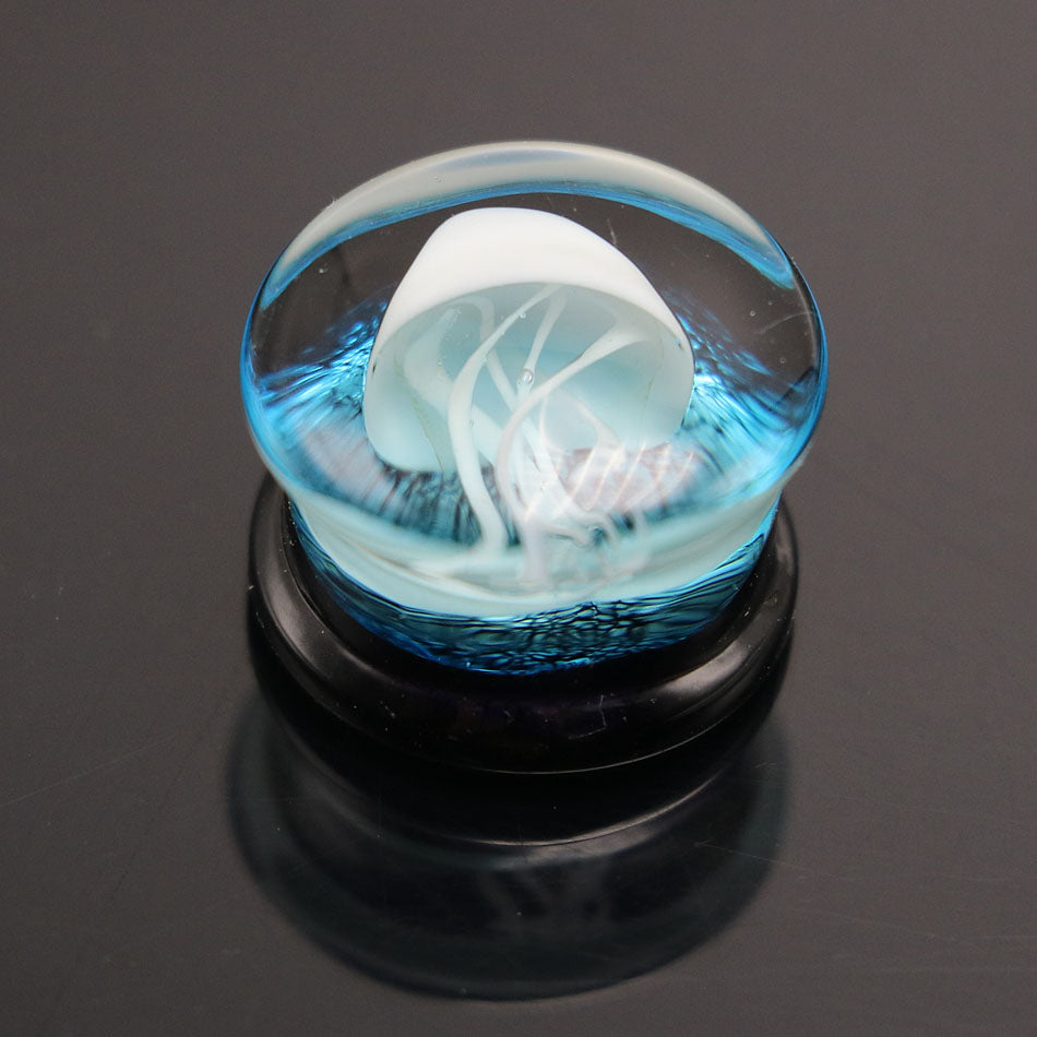 Jellyfish Glass Ear Plugs 8mm - 16mm – Alpha Piercing